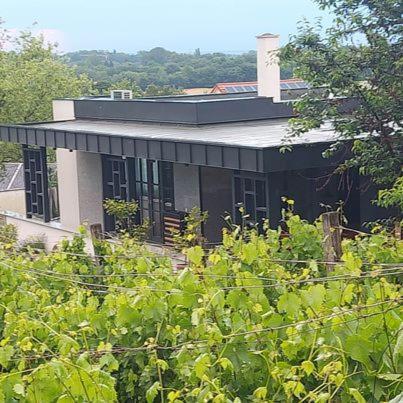 Terra Toscana Apartman Sárvár Exteriér fotografie